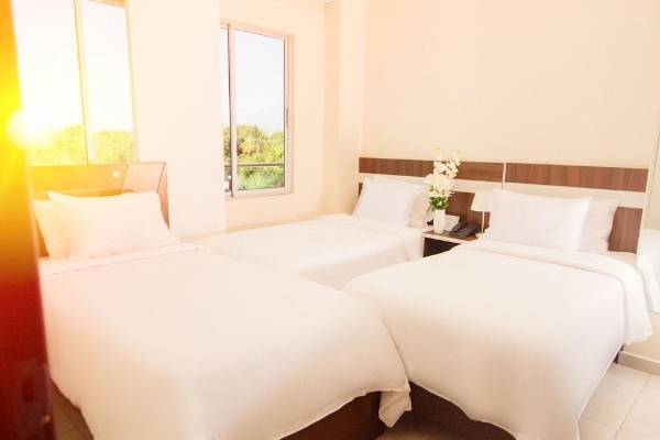 Hotel Mayales Plaza (Valledupar)